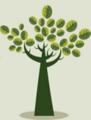 Screen shot 2020 10 30 at 12.17.00 am